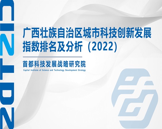 越南少女疼疼操屄视频【成果发布】广西壮族自治区城市科技创新发展指数排名及分析（2022）